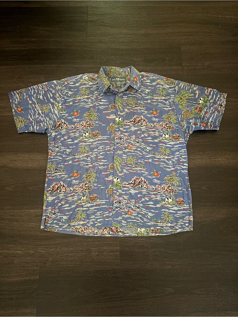 Vintage Big Dogs Men's Blue Hawaiian Volcano Ocean Button Up Shirt